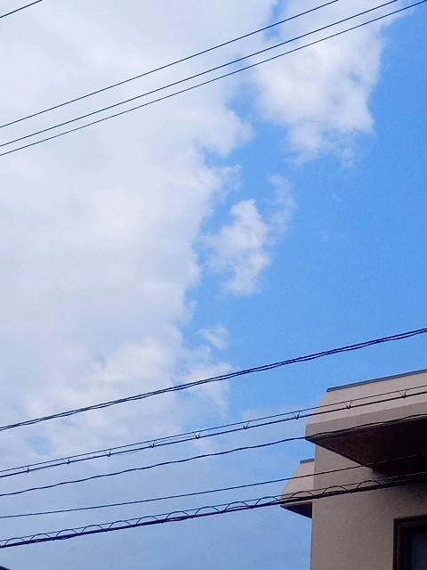 f:id:makkosan70:20210105134311j:plain