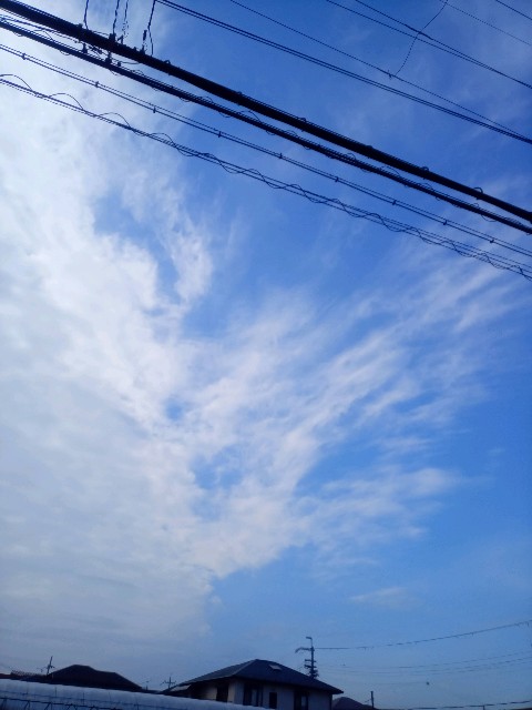 f:id:makkosan70:20210105134352j:plain