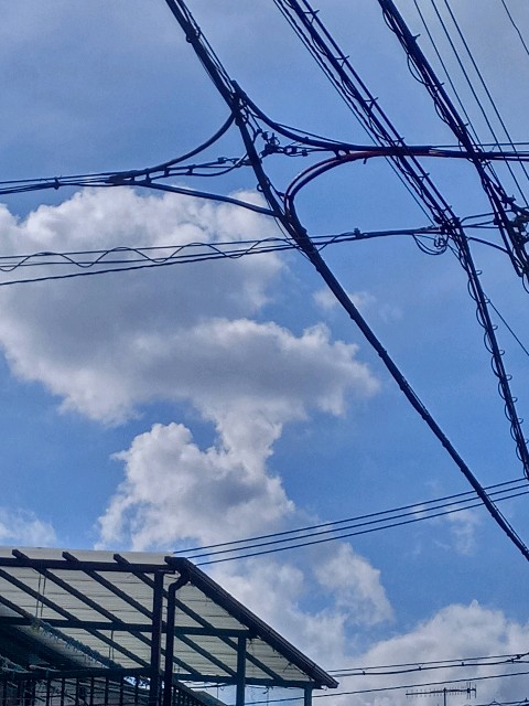 f:id:makkosan70:20210107134022j:plain