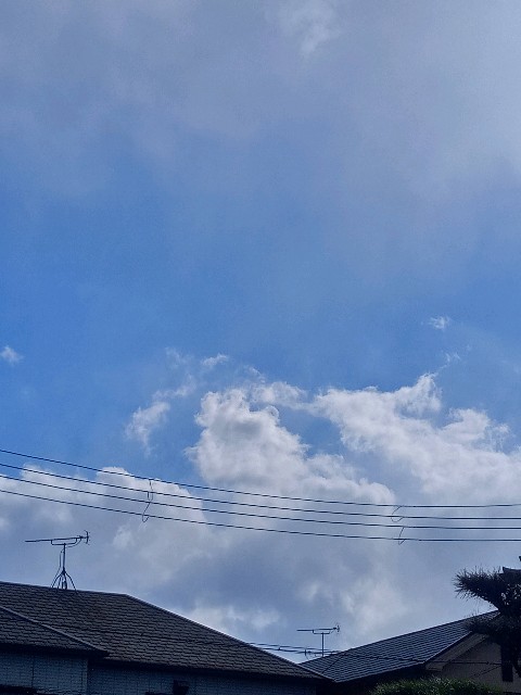 f:id:makkosan70:20210107134124j:plain