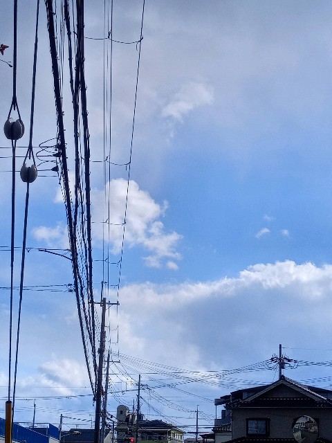 f:id:makkosan70:20210107134237j:plain