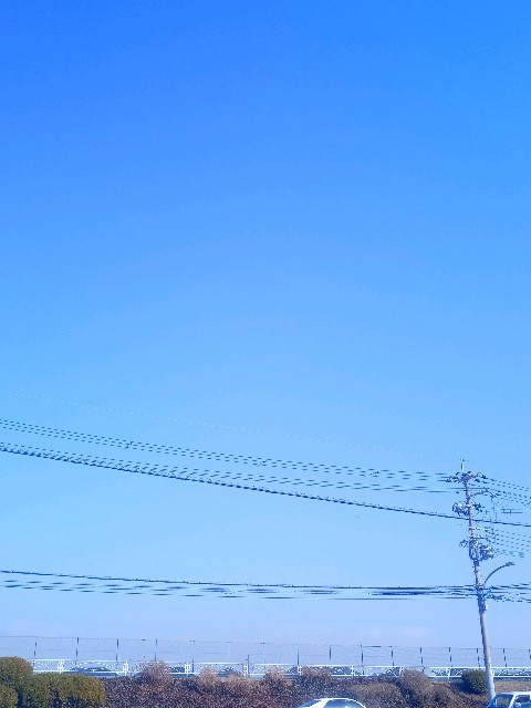 f:id:makkosan70:20210114140935j:plain