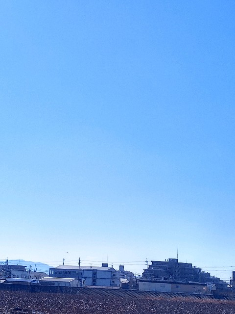 f:id:makkosan70:20210120132727j:plain