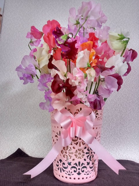 f:id:makkosan70:20210228140508j:plain