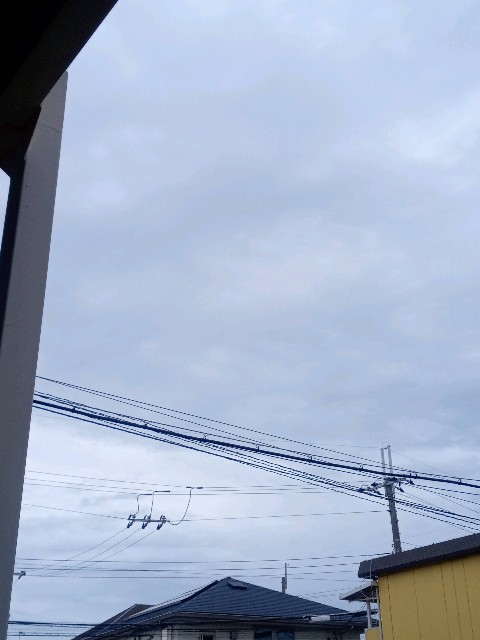 f:id:makkosan70:20210320122750j:plain