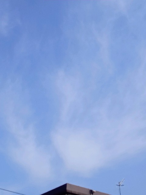 f:id:makkosan70:20210329102403j:plain