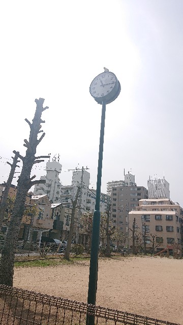 f:id:makkosan70:20210329135824j:plain