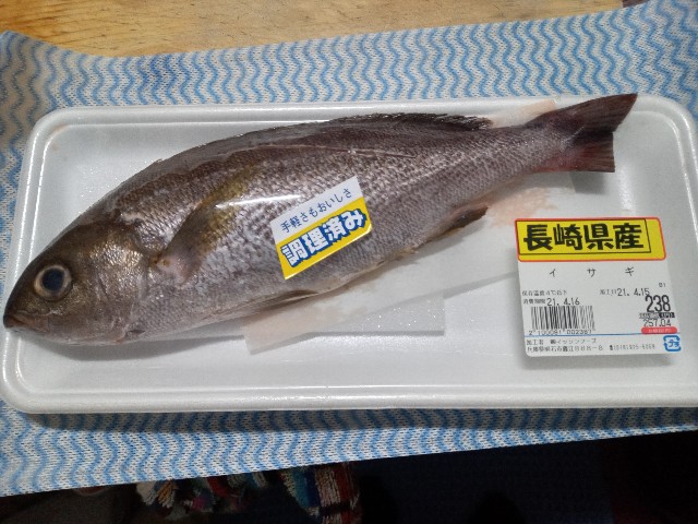 f:id:makkosan70:20210416093429j:plain