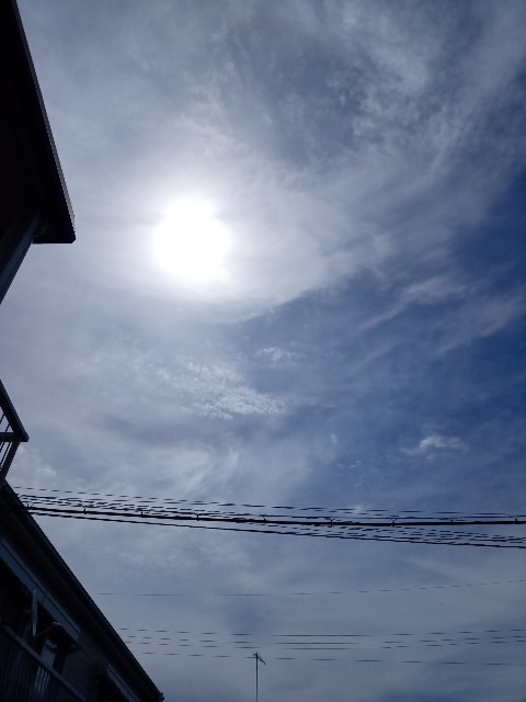 f:id:makkosan70:20210422103246j:plain