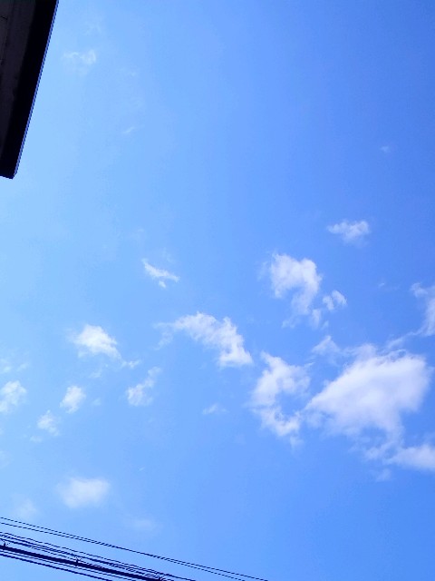 f:id:makkosan70:20210502111737j:plain