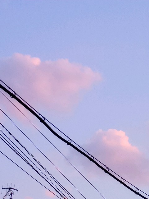 f:id:makkosan70:20210502111752j:plain