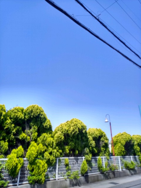 f:id:makkosan70:20210510095813j:plain