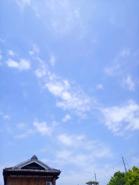 f:id:makkosan70:20210510130929j:plain