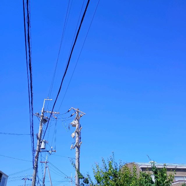 f:id:makkosan70:20210531125007j:plain