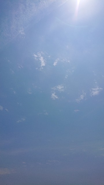 f:id:makkosan70:20210608124458j:plain