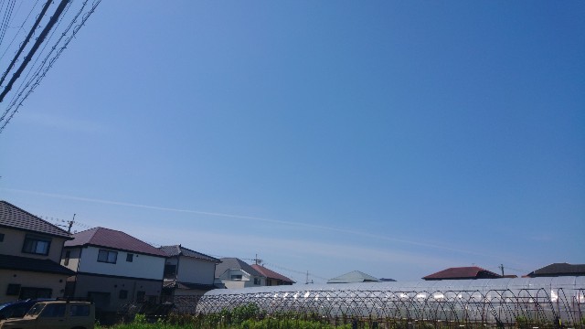 f:id:makkosan70:20210609135041j:plain