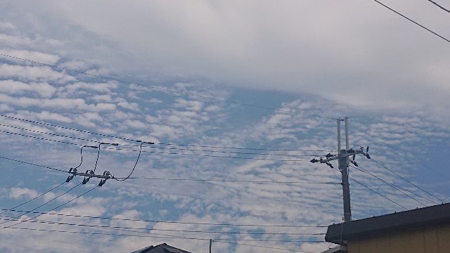 f:id:makkosan70:20210620121315j:plain
