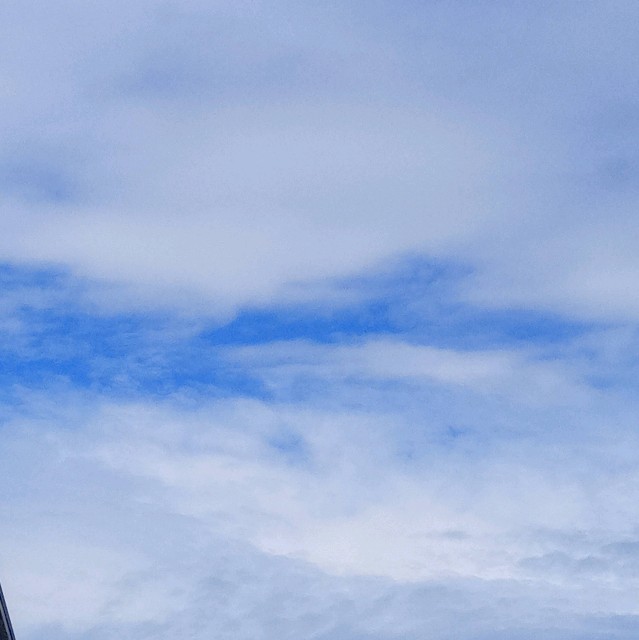 f:id:makkosan70:20210705135120j:plain