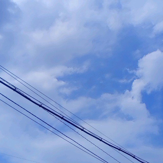 f:id:makkosan70:20210712124828j:plain