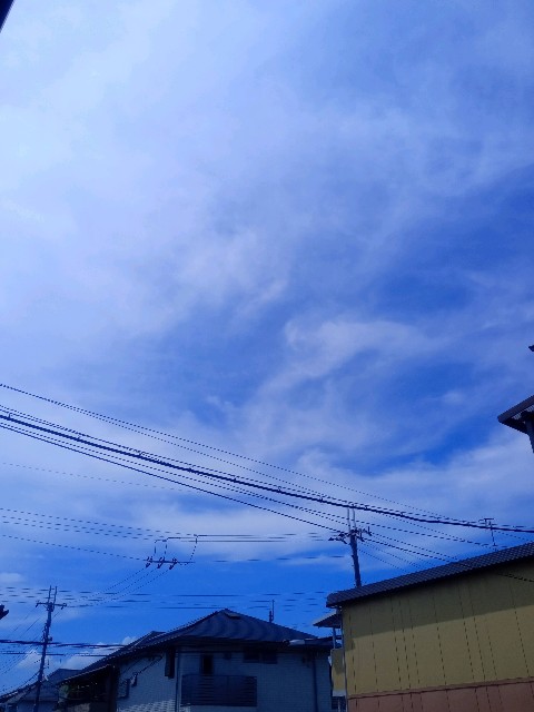 f:id:makkosan70:20210723120856j:plain