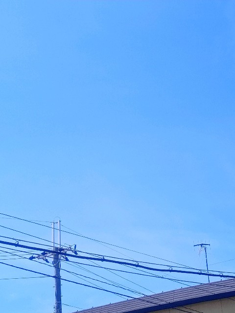 f:id:makkosan70:20210724123350j:plain