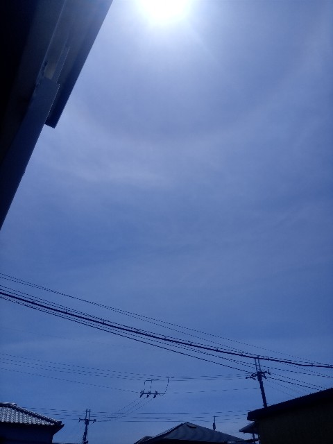f:id:makkosan70:20210724123528j:plain