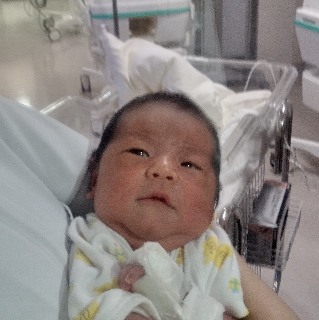 f:id:makkosan70:20210724132558j:plain