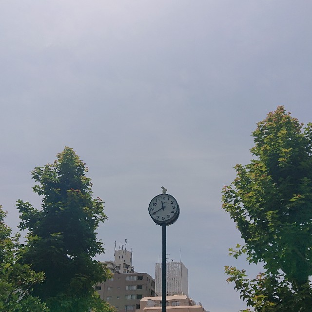 f:id:makkosan70:20210725134907j:plain