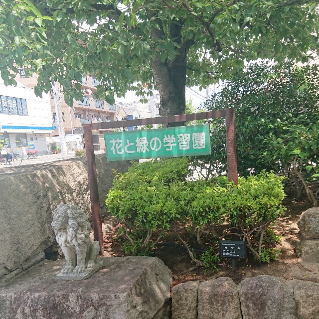f:id:makkosan70:20210725141424j:plain