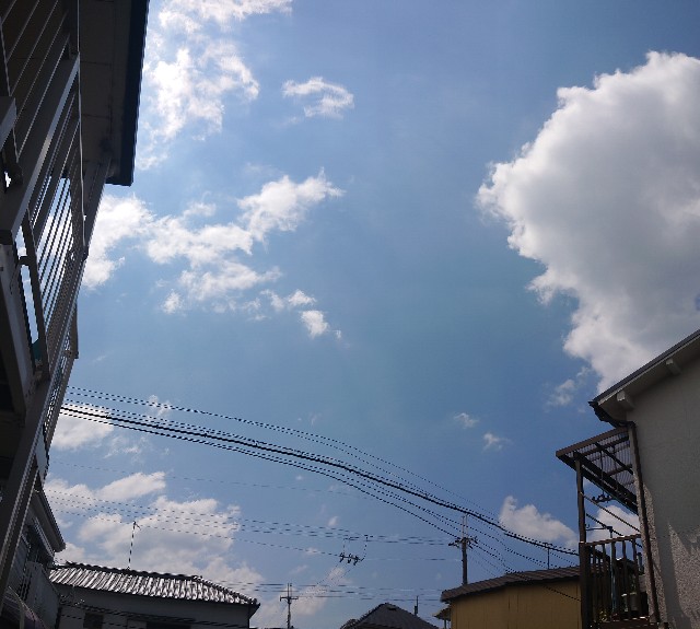 f:id:makkosan70:20210727103610j:plain