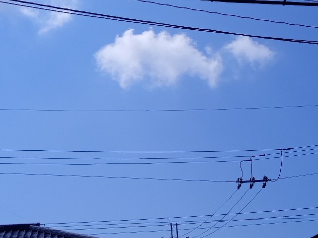 f:id:makkosan70:20210729123342j:plain