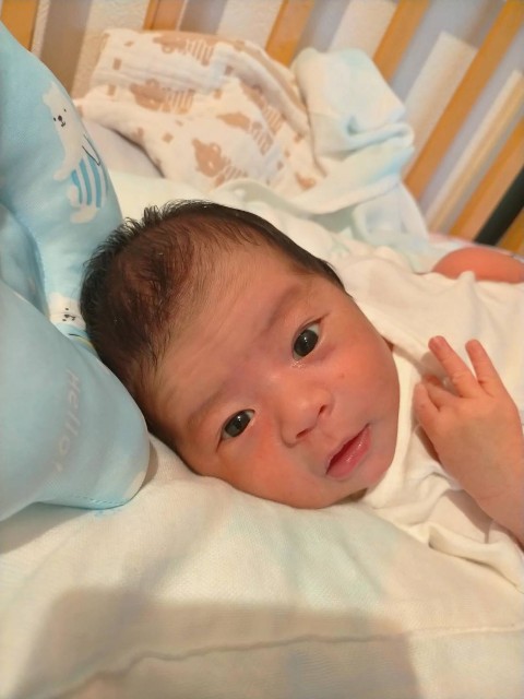 f:id:makkosan70:20210729135431j:plain