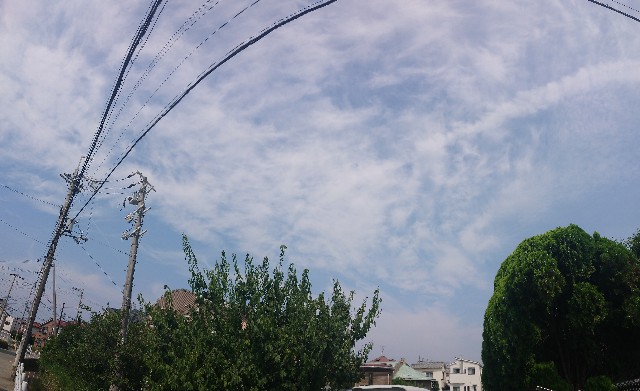 f:id:makkosan70:20210802113524j:plain