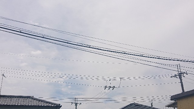 f:id:makkosan70:20210811111822j:plain