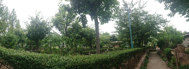 f:id:makkosan70:20210811133431j:plain
