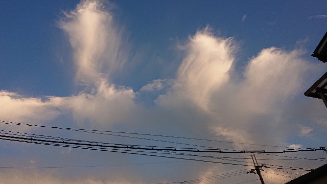 f:id:makkosan70:20210811140005j:plain