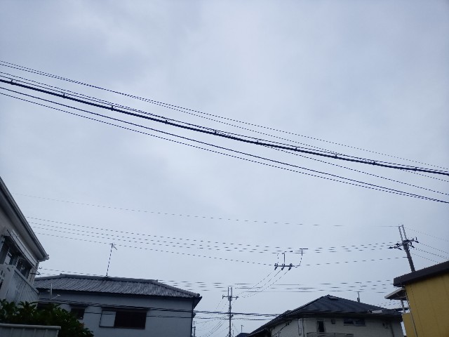 f:id:makkosan70:20210816134636j:plain