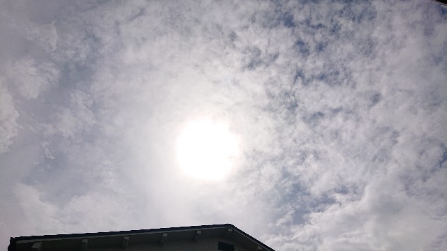 f:id:makkosan70:20210816140418j:plain