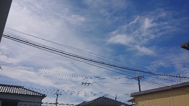 f:id:makkosan70:20210822132929j:plain