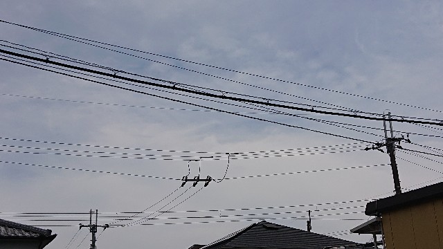 f:id:makkosan70:20210823132122j:plain
