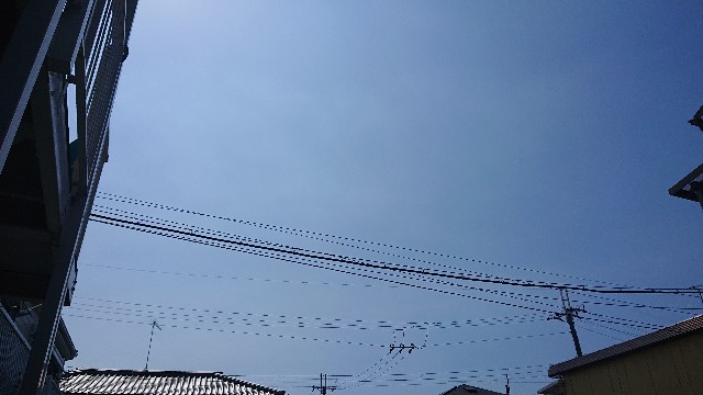 f:id:makkosan70:20210827152916j:plain