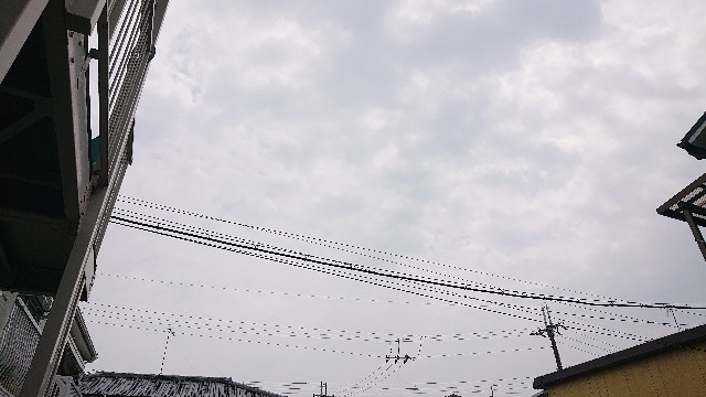 f:id:makkosan70:20210901124908j:plain