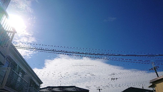 f:id:makkosan70:20210906121321j:plain