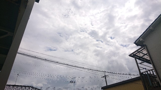 f:id:makkosan70:20210908134027j:plain