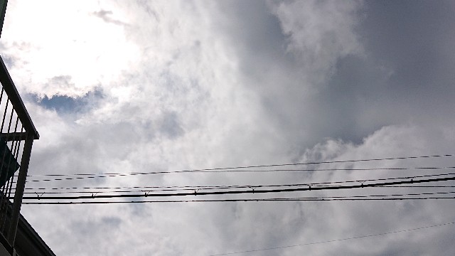 f:id:makkosan70:20210909132915j:plain