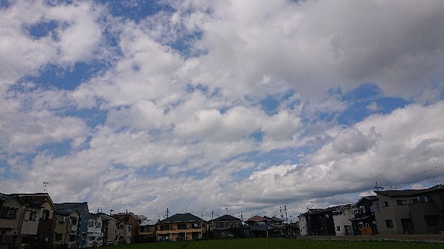 f:id:makkosan70:20210909133141j:plain