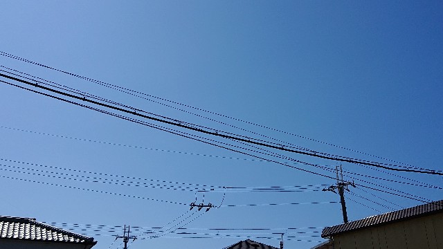 f:id:makkosan70:20210910125249j:plain