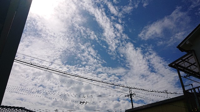 f:id:makkosan70:20210922133559j:plain
