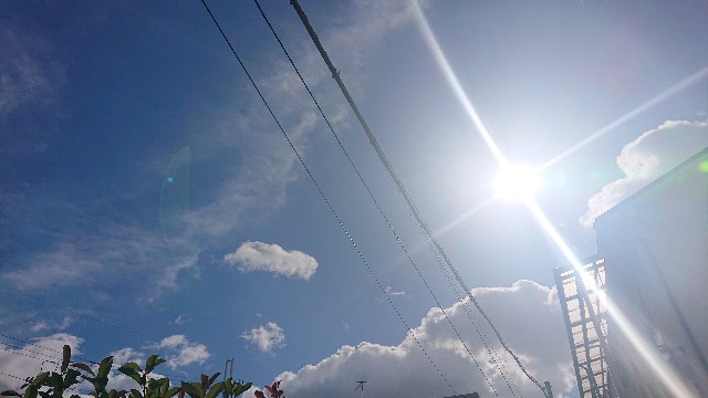 f:id:makkosan70:20211002131758j:plain