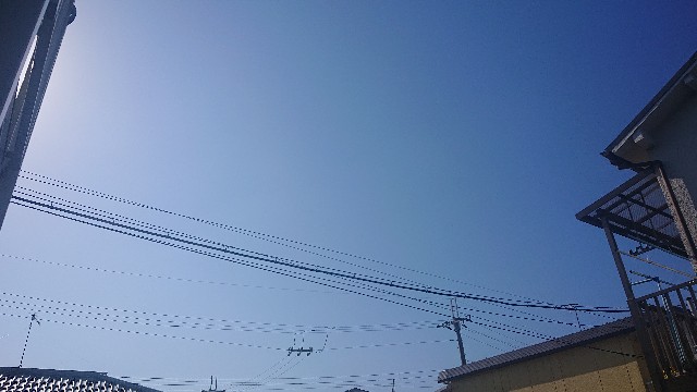 f:id:makkosan70:20211002132014j:plain